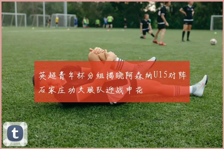 英超青年杯分组揭晓阿森纳U15对阵石家庄功夫狼队迎战申花