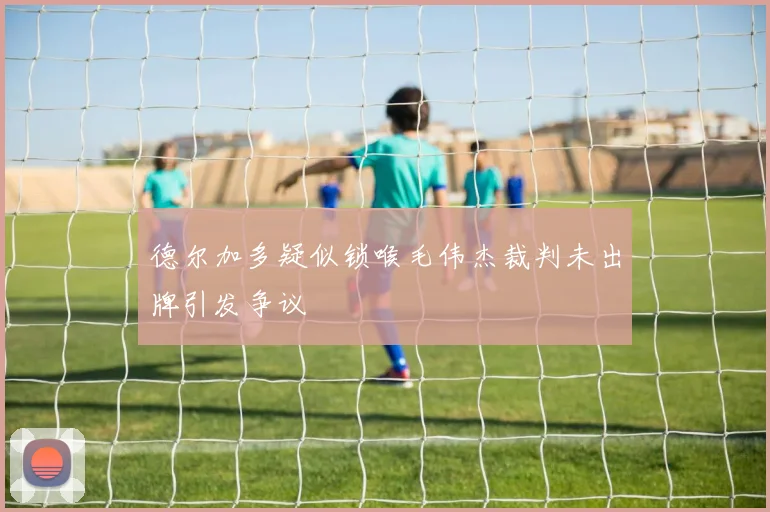 德尔加多疑似锁喉毛伟杰裁判未出牌引发争议